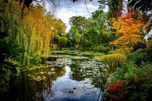 A photo of the iconic waterlily pond that Claude Monet used as inspiration for some of his most famous works.