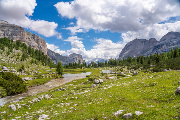 seniorin auf dem mountainbike im naturpark fanes-sennes-prags, südtirol, italien - 2650 stock-fotos und bilder