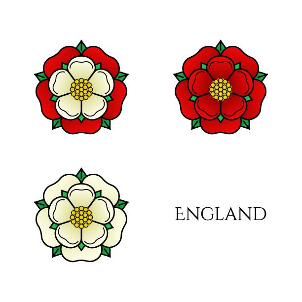 Tudoe rose of Englnd vector illustration. Tudor rose vector isolated icons set. Traditional heraldic emblem of England. The war of roses of houses Lancaster and York. lancaster lancashire stock illustrations