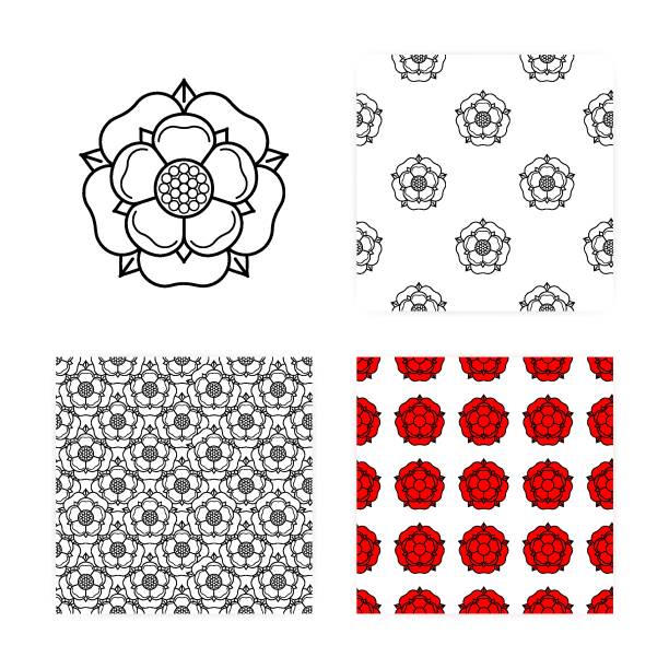 70+ Lancaster Rose Stock Photos, Pictures & Royalty-Free Images