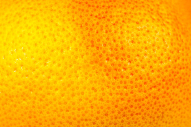 istock Close up photo of Grapefruit peel texture. Exotic ripe fruit, orange background, macro view. Human skin problem concept, acne and cellulite. Beautiful nature wallpaper. 1329497301