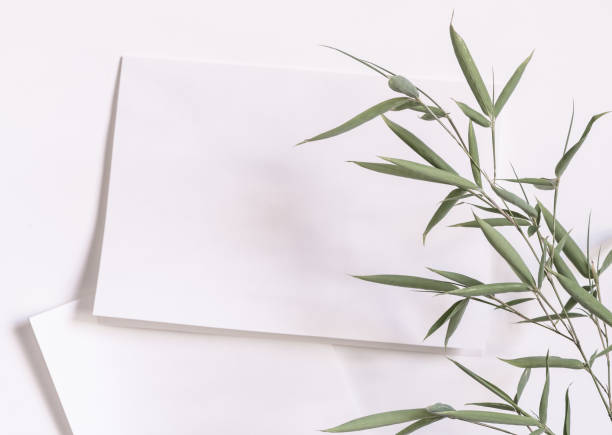 istock Nature themed card or background 1329503540