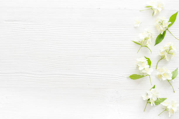 istock Summer flowers - jasmine with green leaves, top view 1329503548