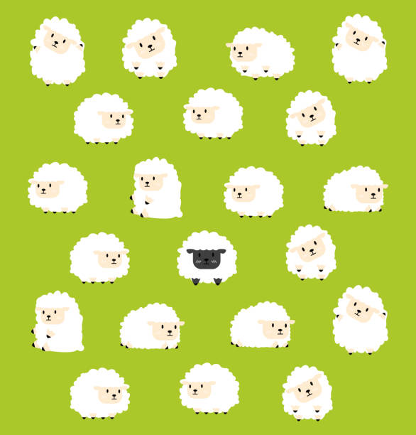 black little sheep between white sheep concept black little sheep between white sheep concept vector sheep flock stock illustrations