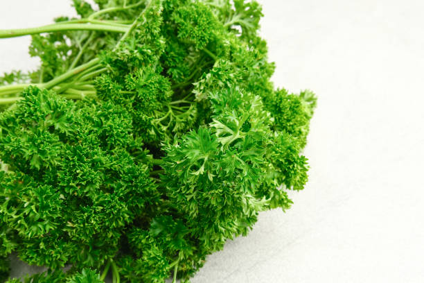 istock Fresh organic parsley herb isolated on white background. 1329506464