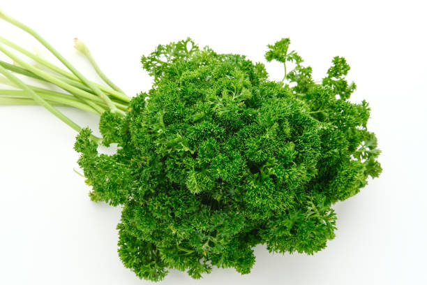 istock Fresh organic parsley herb isolated on white background. 1329506548
