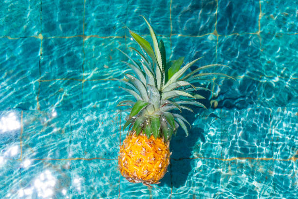 istock Ripe pineapple floats in a pool of refreshing water. 1329506560