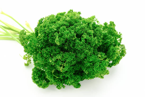 istock Fresh organic parsley herb isolated on white background. 1329506659