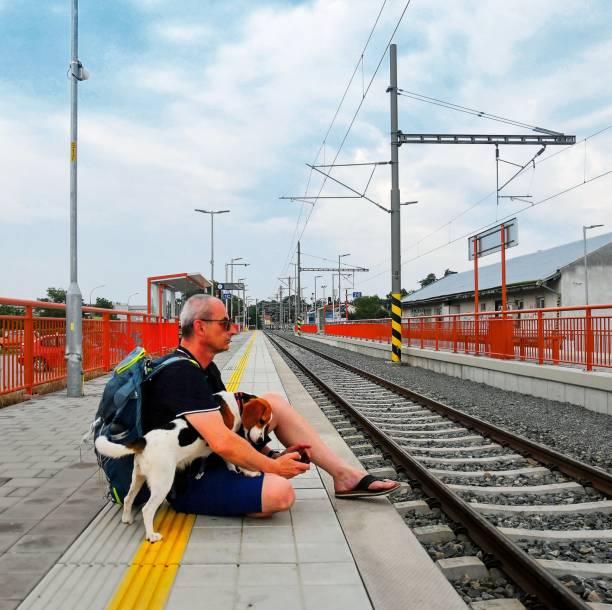 istock Active tourist with backpack using phone and waiting for train. Man and beagle dog waiting on railway station. Older tourist texting on mobile phone. Vacation concept 1329509571