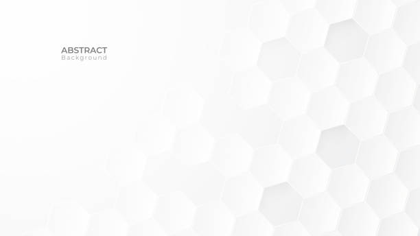 추상현대육각형 배경. 흰색과 회색 꿀 패턴 기하학적 질감. 벡터 아트 일러스트레이션 - hexagon stock illustrations