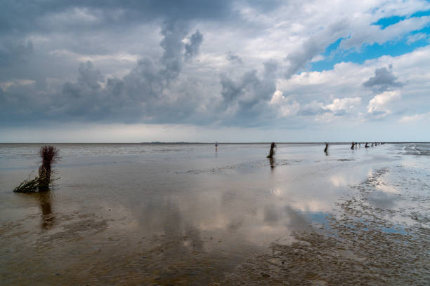 calma e tranquila paisagem marítima na praia na maré baixa no mar de wadden - wadden wadden sea unesco world heritage site sea - fotografias e filmes do acervo