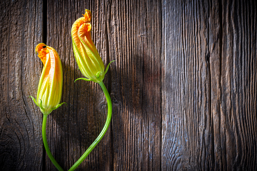 Zucchini flowers two on dark rustic wood table with shadows