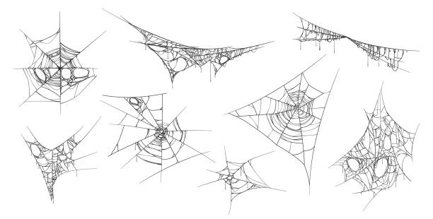 거미에 의해 만들어진 으스스한 거미 줄 매달려 스레드. 끈적 끈적한 웹, 할로윈 장식의 고립 된 세트. 메쉬 워크와 그런지 장식, 파티 또는 오래된 오래된 오래된 요소에 대한 현실적인 장식. 만 - 거미줄 stock illustrations