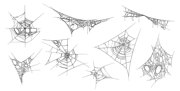 Spooky cobweb hanging threads made by spiders. Isolated set of sticky web, halloween decoration. Meshwork and grunge ornament, realistic adornment for party or old obsolete elements. Cartoon vector