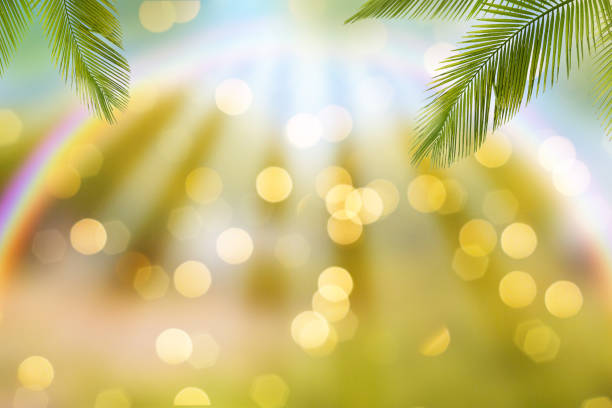 istock Creative layout of green tropical leaves on colored defocused background with glowing bokeh .. Minimal summer concept. Summer background. 1329514207
