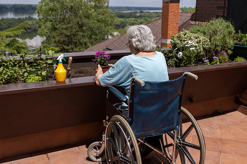 old woman in wheelchair planting flowers in small terrace garden