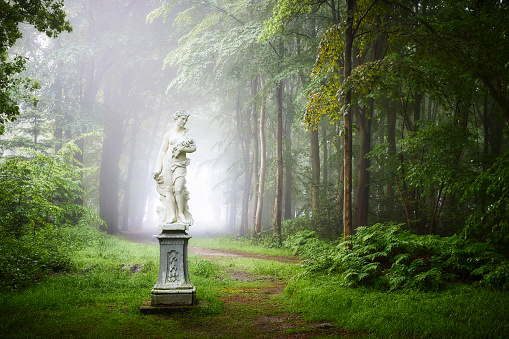 A misty forest on an early April morning in Groningen on estate Fraeylemaborg. There’s a footpath going through the scene. A statue is standing on the path and all the plants are around the path.