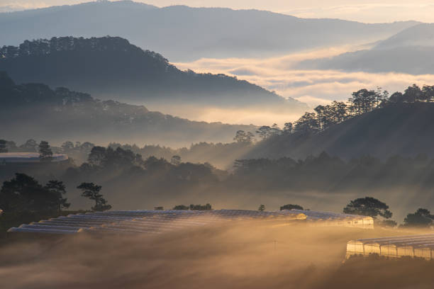 Foggy morning on Tuy Son mountain with vegetable farm, Da Lat, Lam Dong province, central Vietnam