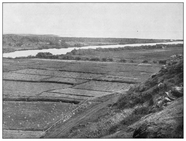 istock Antique black and white photograph: Maui Island, Hawaii 1329520956