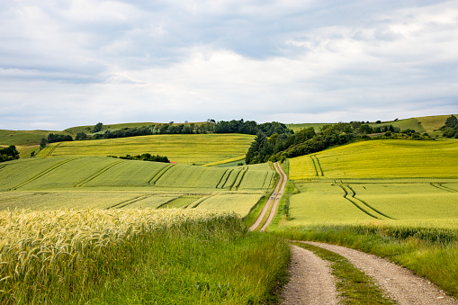 Mors, Denmark Agricultural landscape of the Mors island in central Denmark.