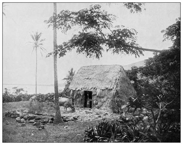 antyczne czarno-białe zdjęcie: pierwsze miejsce lądowania kapitana cooka na hawajach - james cook stock illustrations