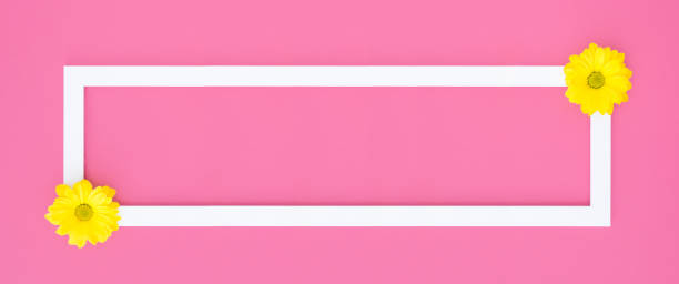 istock Empty white frame on pink with yellow daisy flower banner size 1329522932