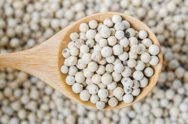 istock Dried white peppercorn seeds 1329523132