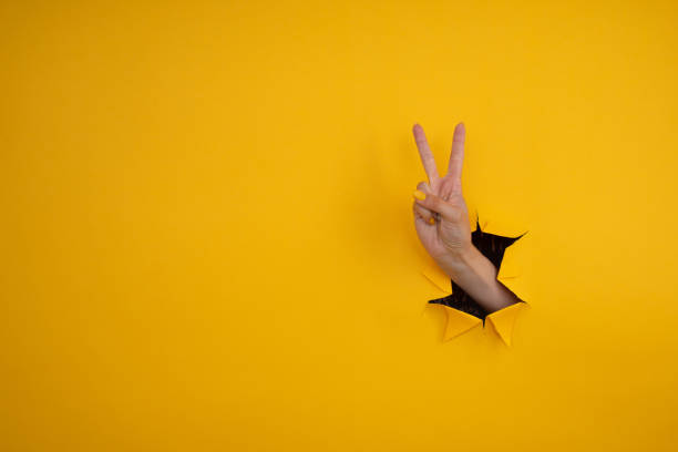 istock Hand showing peace gesture through torn yellow paper background. Victory, V sign. 1329526071