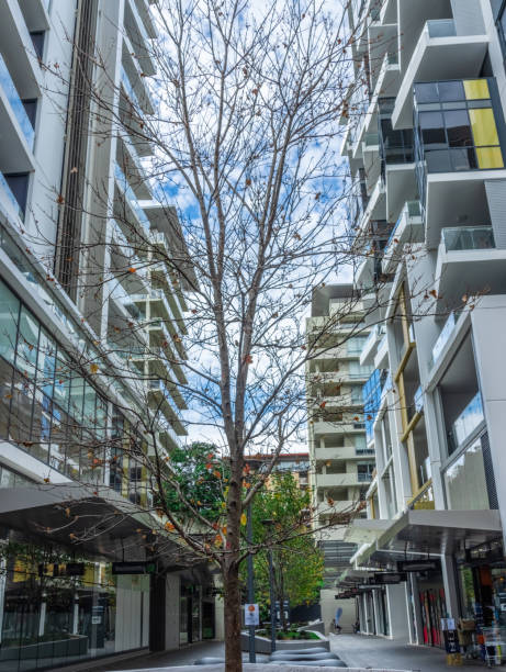 istock Apartment building in inner Sydney suburb NSW Australia 1329530331