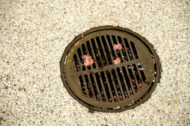 Cleaning and sanitizing of floors and drains is an important health and safety requirement.
