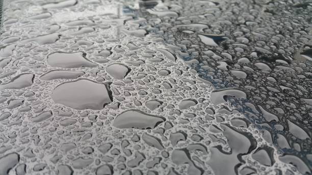 istock drops of rainwater 1329531665