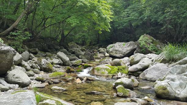 istock cool summer valley in korea 1329531724