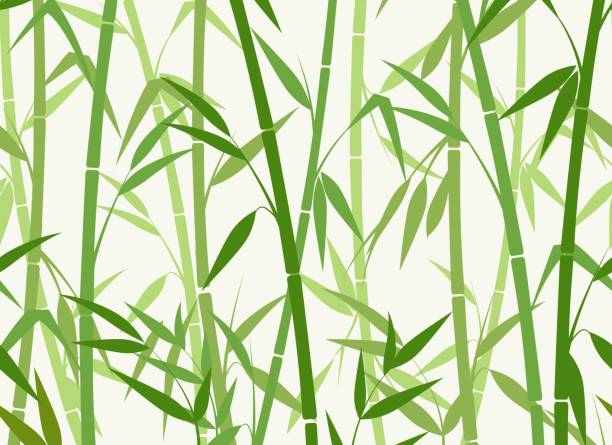 Green bamboo pattern Green bamboo pattern. Bamboos horizontal seamless background, chinese natur vector wallpaper, asian tree zen backdrop on white illustration bamboo texture stock illustrations