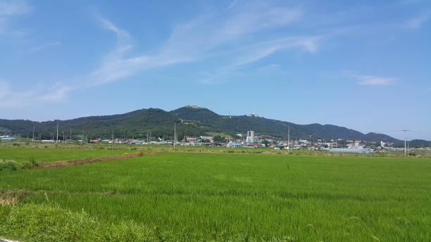 istock Korea's verdant rural field landscape 1329532600
