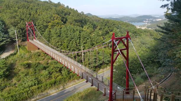 istock tourist bridge across the road 1329532700