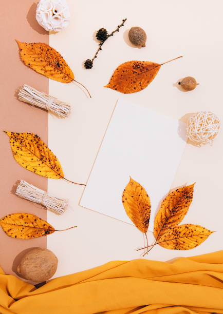 istock Fall Winter minimalist background Autumn leaf and pumpkin decor and yellow silk fabric. Trendy brown yelow beige colors mix. Seasonal stylish wallpaper, mock-up 1329533480