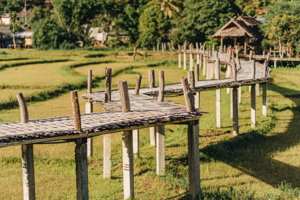 ponte de bambu sobre pastilhas de arroz, boon ko ku assim em pai - mae hong son province - fotografias e filmes do acervo