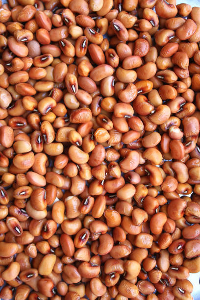 istock Closeup of Whole Redgram 1329535728
