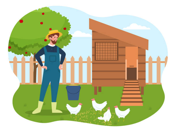 ilustrações de stock, clip art, desenhos animados e ícones de chicken coop concept - barn wood window farm