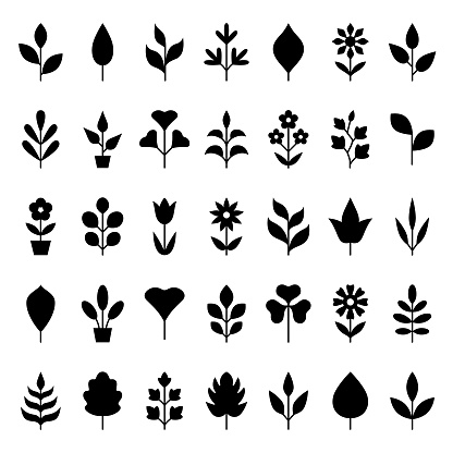 Leaves and plants icon set.  Vector design elements on white background