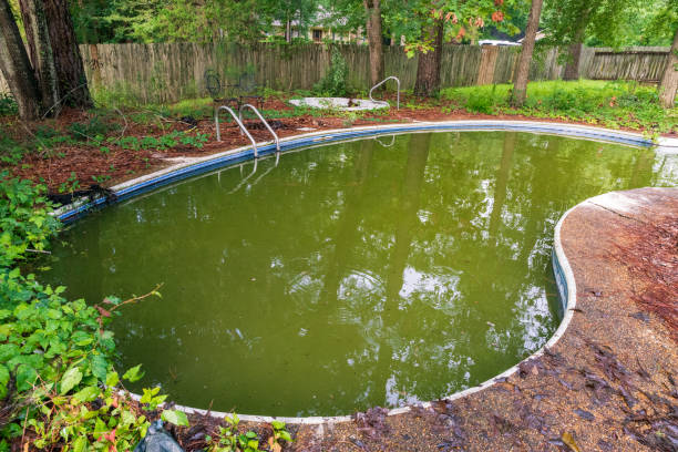 istock Swimming pool with green water 1329540888
