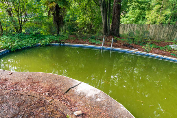 istock Swimming pool in need of maintenance 1329540907