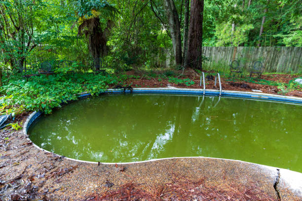 istock Filthy backyard swimming pool in ruins 1329540993