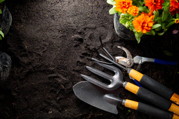 istock Gardening tools for beginning your small garden plant. 1329541861