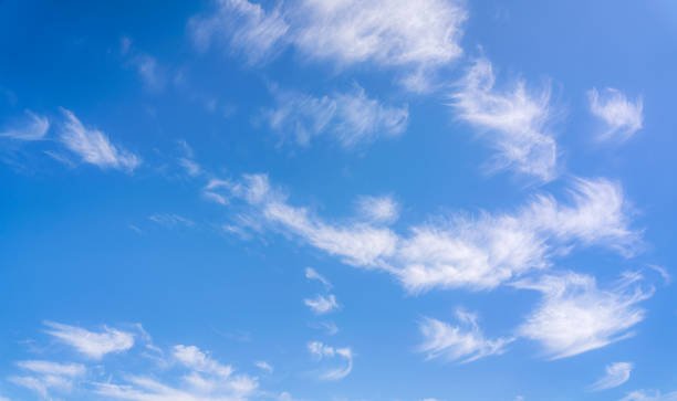 Wispy clouds in a blue summer sky Patterns made up from small wispy cirrus clouds in a blue summer sky. cirrus stock pictures, royalty-free photos & images