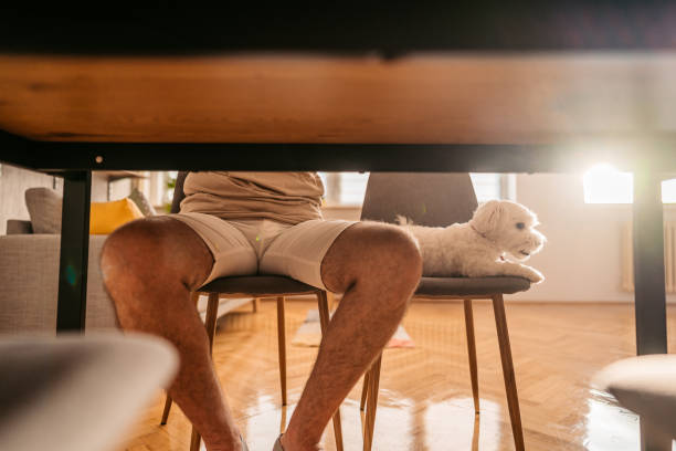 istock Small dog sitting on chair under table 1329542200