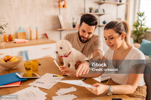 Couple Checking Their Finances At Home With Their Dog Stock Photo - Download Image Now