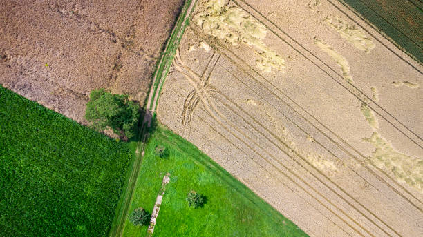 istock Abstract agricultural field - aerial view 1329543732