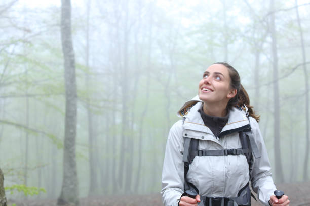 istock Amazed trekker walking looking above in a forest 1329543741