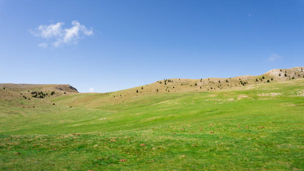 istock Green mountain grass field with a clear blue sky 1329546199